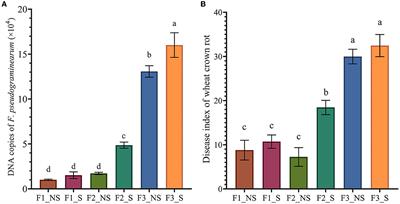 Effects of fertilizer reduction coupled with straw returning on soil fertility, wheat root endophytic bacteria, and the occurrence of wheat crown rot